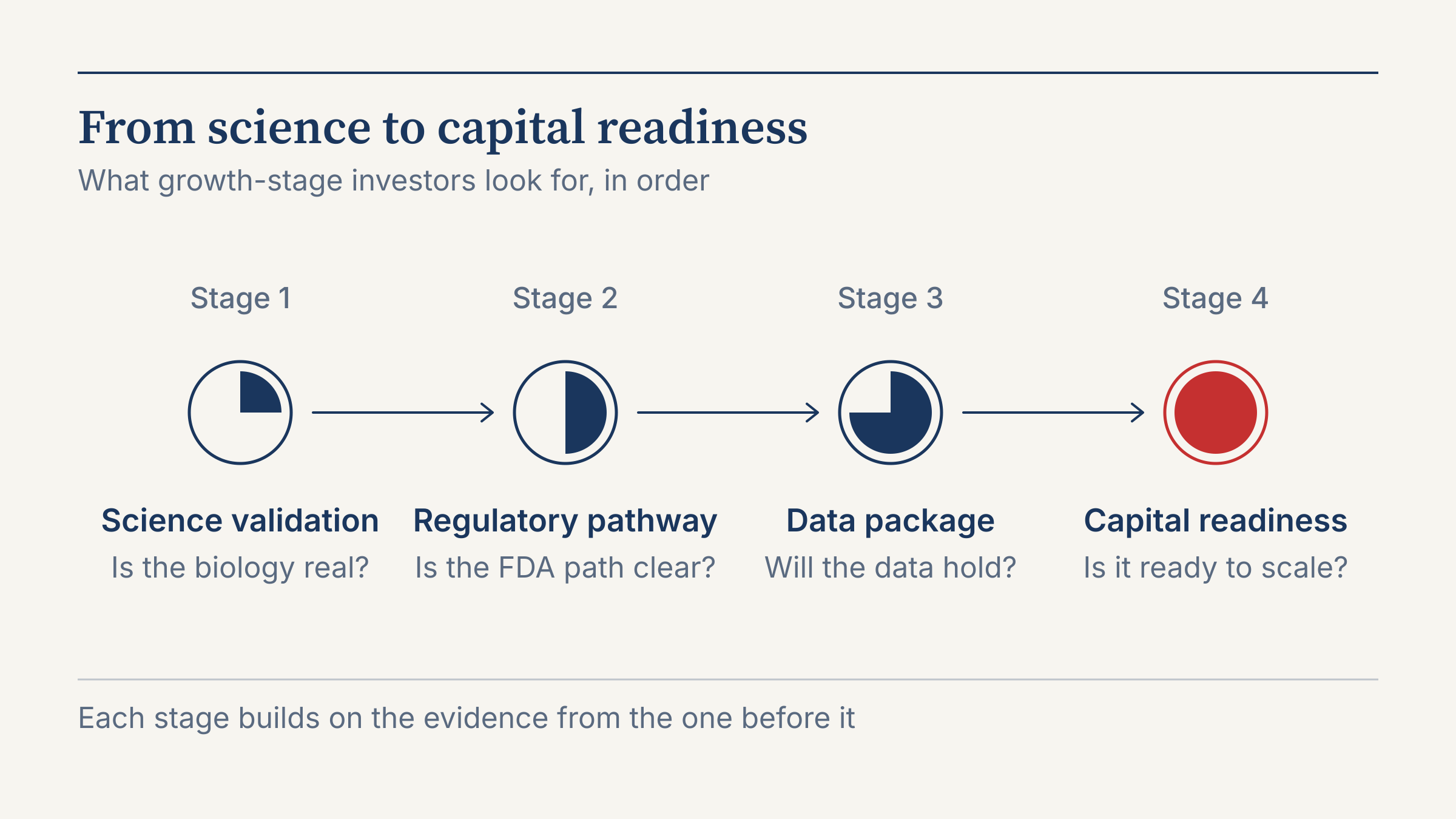 Four-stage longevity economy framework diagram showing Science Validation, Regulatory Pathway, Data Package and Capital Readiness connected in sequence by arrows